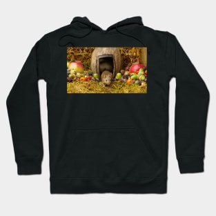 George the mouse in a log pile house Hoodie